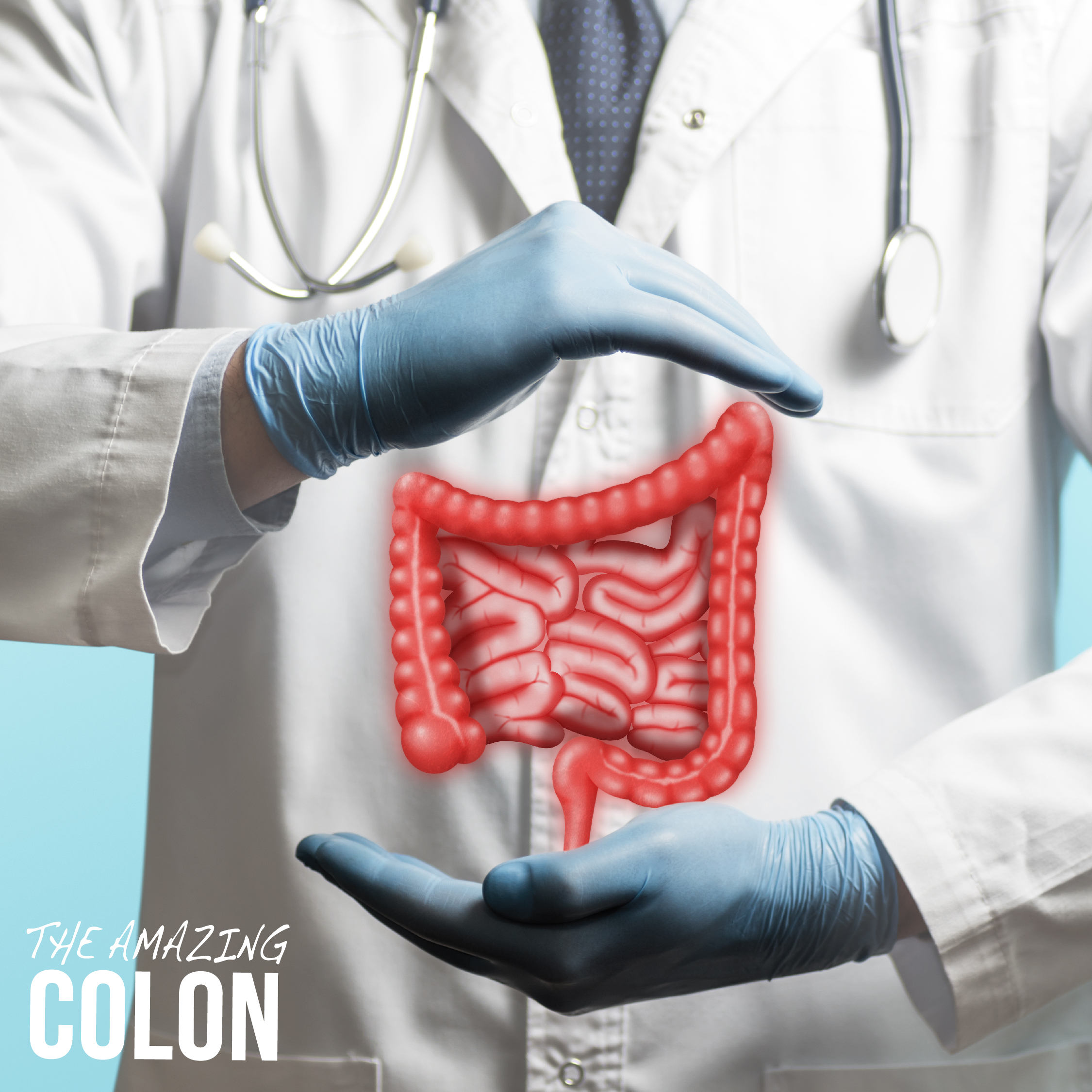 The Amazing Colon