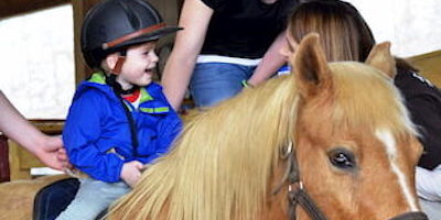 Reinbow_Riding_179_-_Grey_and_Barb400x200