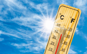 Summer Heat Safety